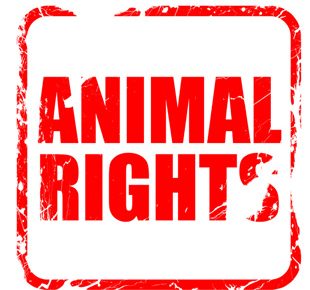 لایحه حمایت از حقوق حیوانات